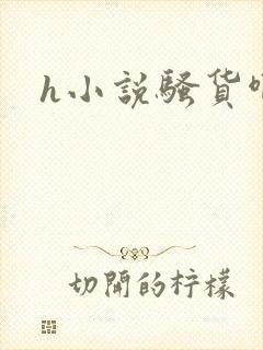 h小说骚货啊