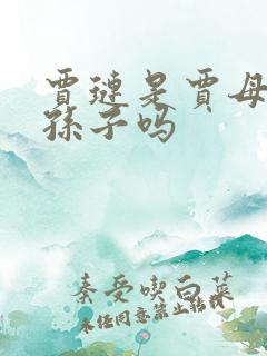 贾琏是贾母的亲孙子吗