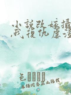 小说改嫁摄政王,我复仇虐渣妹萧怀在线阅
