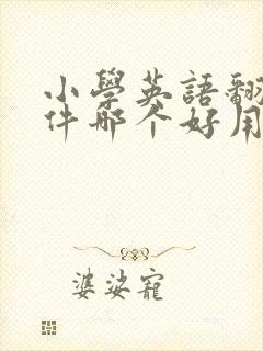 小学英语翻译软件哪个好用