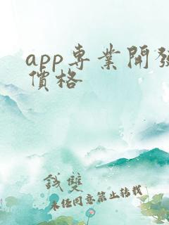 app专业开发价格