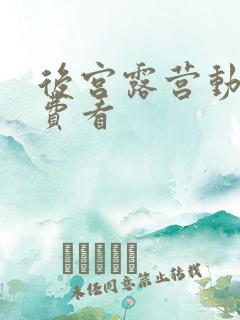后宫露营动漫免费看