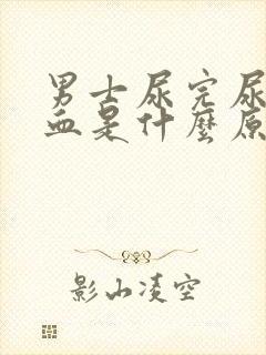 男士尿完尿后有血是什么原因