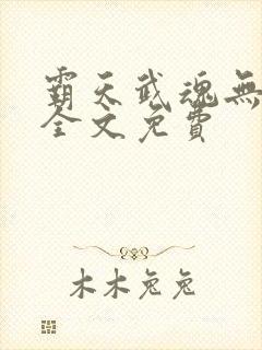 霸天武魂无弹窗全文免费