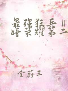 最强狂兵Ⅱ:黑暗荣耀第二部