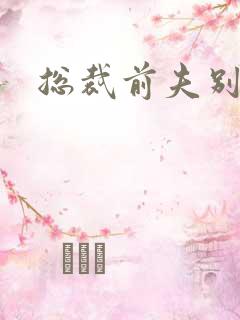 总裁前夫别太坏