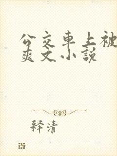 公交车上被强上爽文小说