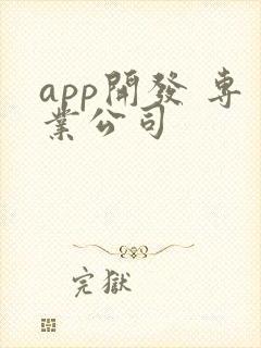 app开发 专业公司