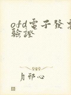 ofd电子发票验证