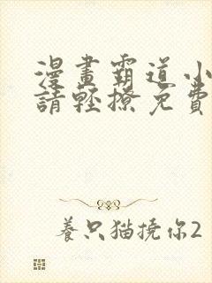 漫画霸道小叔,请轻撩免费看