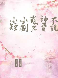 小小武神不好惹短剧免费观看
