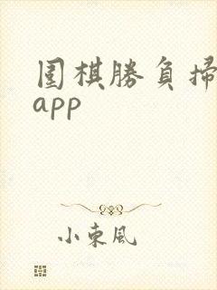 围棋胜负扫一扫app