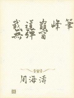 武道巅峰笔趣阁无弹窗