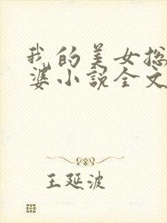 我的美女总裁老婆小说全文阅读