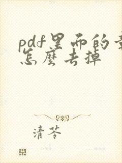 pdf里面的章怎么去掉