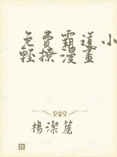 免费霸道小叔请轻撩漫画