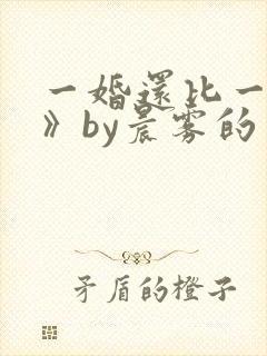 一婚还比一婚高》by晨雾的光