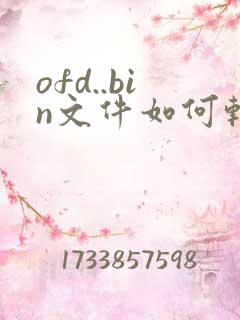 ofd..bin文件如何转换成pdf格式