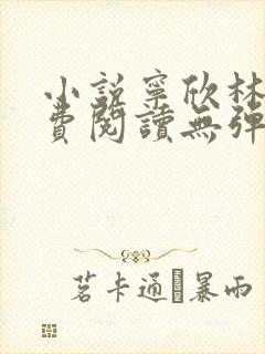 小说宁欣林峰免费阅读无弹窗
