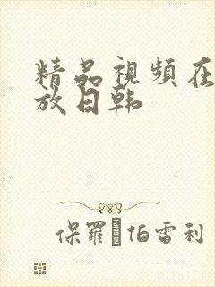 精品视频在线播放日韩