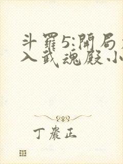 斗罗5:开局加入武魂殿小说完整版