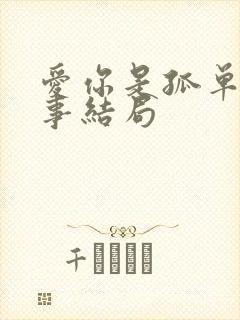 爱你是孤单的心事结局
