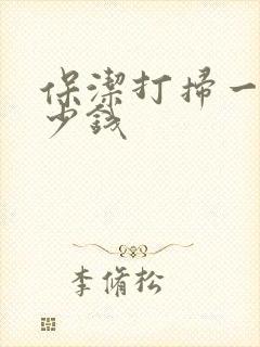 保洁打扫一次多少钱