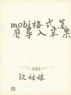 mobi格式怎么导入苹果自带图书
