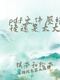 pdf文件压缩后还是太大怎么办
