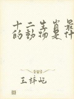 十二生肖最珍贵的动物是什么生肖
