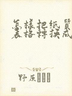 怎样把纸质版的表格转换成电子版