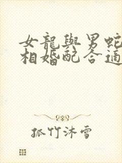 女龙与男蛇的属相婚配合适吗
