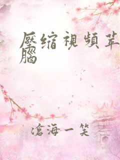 压缩视频苹果电脑