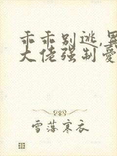 乖乖别逃,异国大佬强制爱我小说