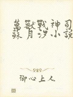 万兽战神司空靖苏月汐小说