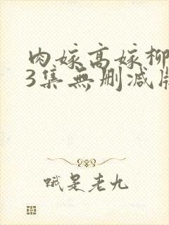 肉嫁高嫁柳嫁家3集无删减版