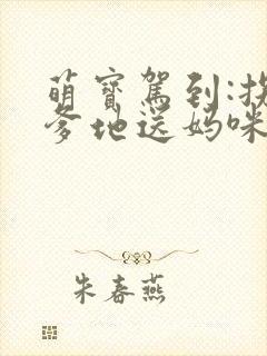 萌宝驾到:拐个爹地送妈咪