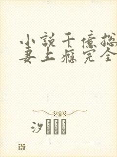 小说千亿总裁宠妻上瘾完全版