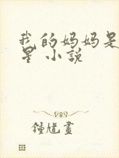 我的妈妈是大明星 小说