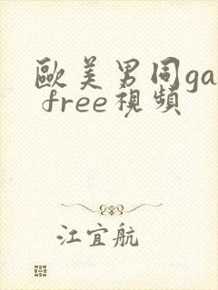 欧美男同gay free视频