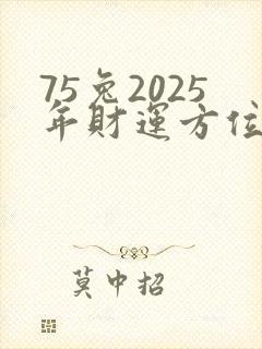 75兔2025年财运方位