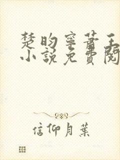 楚昀宁萧王穿越小说免费阅读