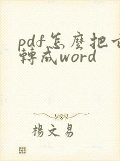 pdf怎么把它转成word