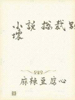 小说 总裁别太坏