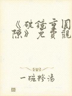 《破镜重圆终有隙》免费观看全集
