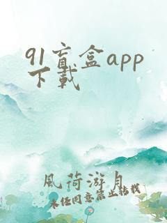91盲盒app下载