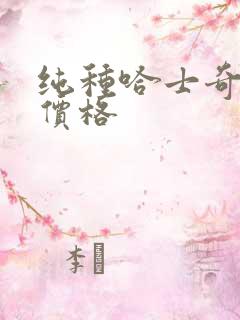 纯种哈士奇犬狗价格