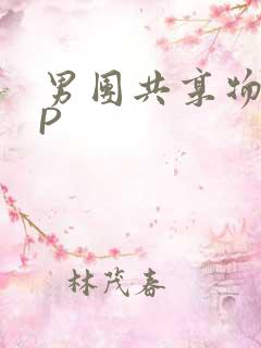 男团共享物 NP