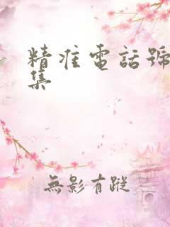 精准电话号码采集