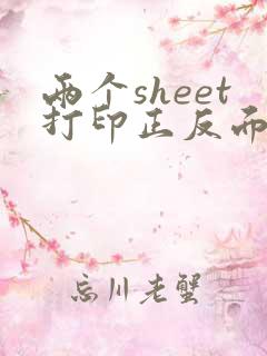 两个sheet打印正反面